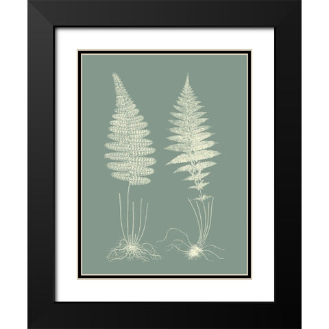 Ferns on Sage VI Black Modern Wood Framed Art Print with Double Matting by Vision Studio