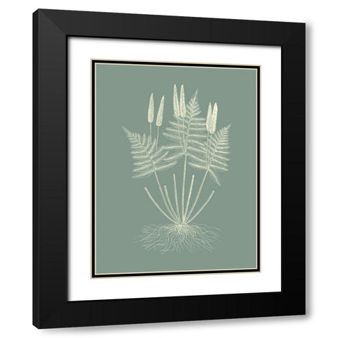 Ferns on Sage VII Black Modern Wood Framed Art Print with Double Matting by Vision Studio