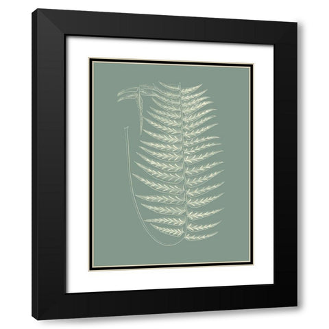 Ferns on Sage VIII Black Modern Wood Framed Art Print with Double Matting by Vision Studio