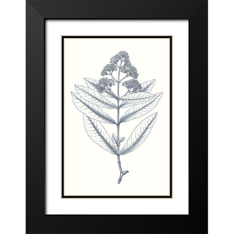 Indigo Botany Study I Black Modern Wood Framed Art Print with Double Matting by Vision Studio