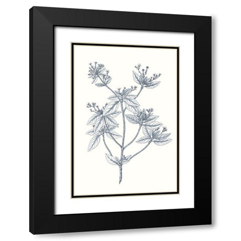 Indigo Botany Study III Black Modern Wood Framed Art Print with Double Matting by Vision Studio