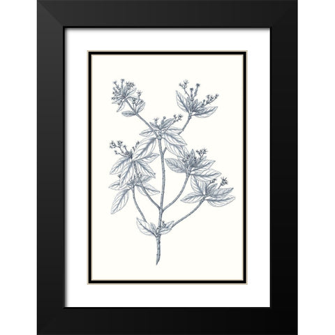 Indigo Botany Study III Black Modern Wood Framed Art Print with Double Matting by Vision Studio