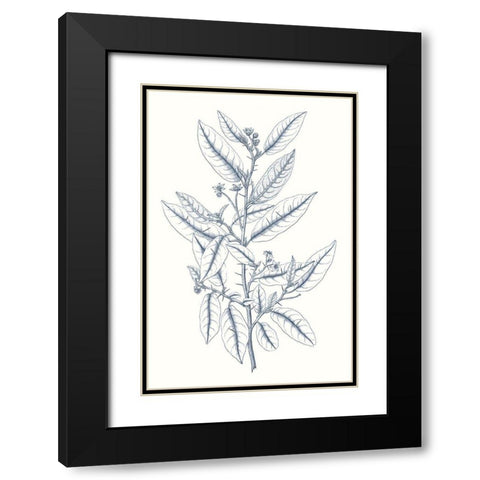 Indigo Botany Study V Black Modern Wood Framed Art Print with Double Matting by Vision Studio