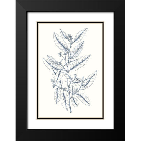 Indigo Botany Study V Black Modern Wood Framed Art Print with Double Matting by Vision Studio