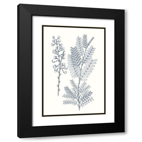 Indigo Botany Study VII Black Modern Wood Framed Art Print with Double Matting by Vision Studio