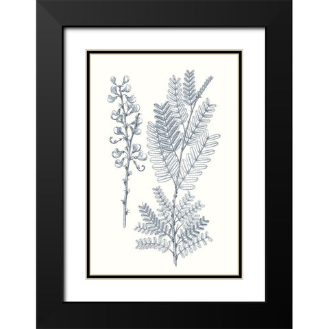 Indigo Botany Study VII Black Modern Wood Framed Art Print with Double Matting by Vision Studio