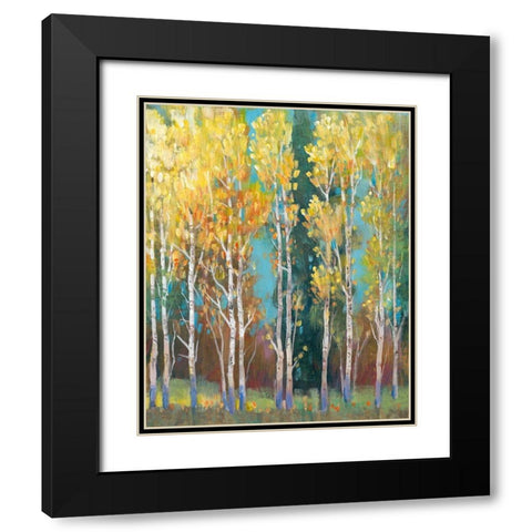 Aspen Grove I Black Modern Wood Framed Art Print with Double Matting by OToole, Tim