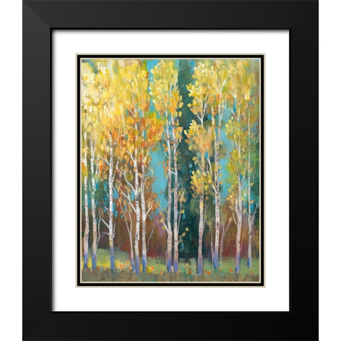 Aspen Grove I Black Modern Wood Framed Art Print with Double Matting by OToole, Tim