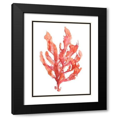 Coral Kelp I Black Modern Wood Framed Art Print with Double Matting by Goldberger, Jennifer