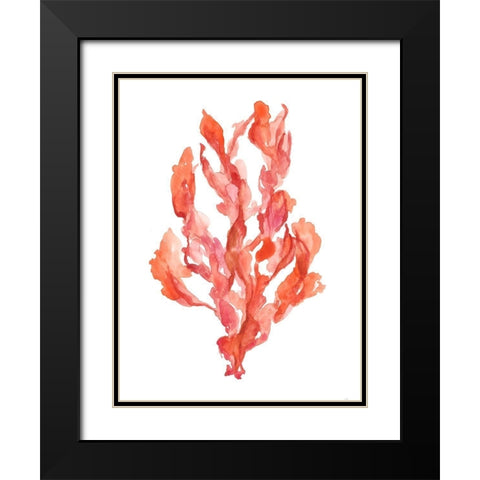 Coral Kelp II Black Modern Wood Framed Art Print with Double Matting by Goldberger, Jennifer
