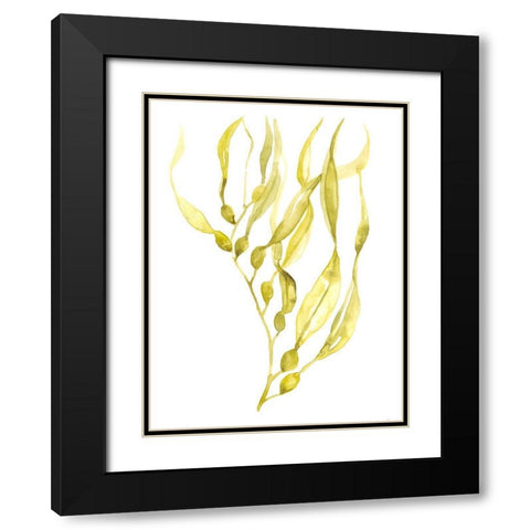 Olive Sea Kelp I Black Modern Wood Framed Art Print with Double Matting by Goldberger, Jennifer