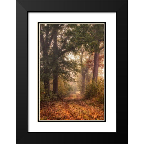 Autumns Walk I Black Modern Wood Framed Art Print with Double Matting by Head, Danny