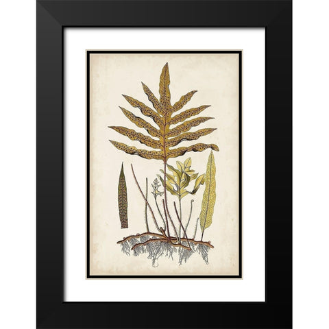 Fern Botanical I Black Modern Wood Framed Art Print with Double Matting by Vision Studio