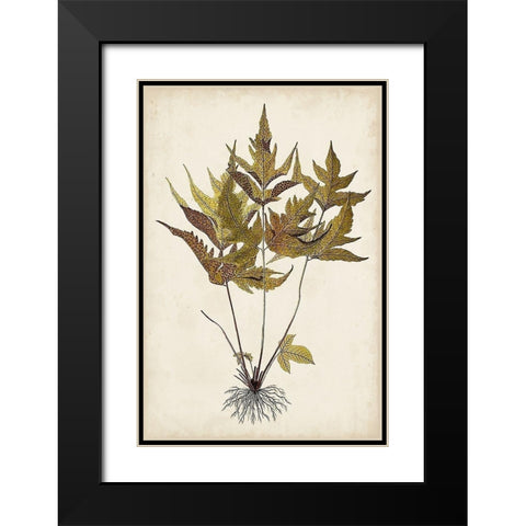 Fern Botanical II Black Modern Wood Framed Art Print with Double Matting by Vision Studio