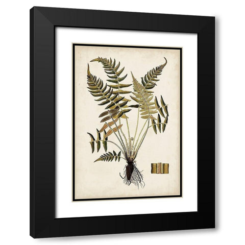 Fern Botanical IV Black Modern Wood Framed Art Print with Double Matting by Vision Studio
