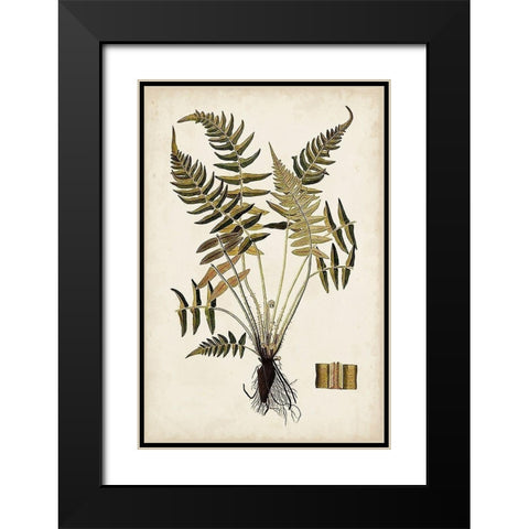 Fern Botanical IV Black Modern Wood Framed Art Print with Double Matting by Vision Studio