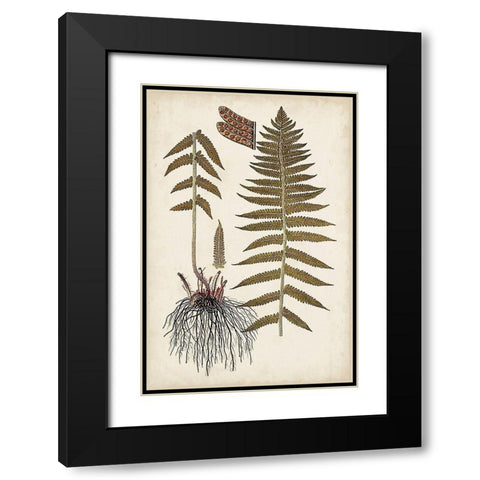 Fern Botanical V Black Modern Wood Framed Art Print with Double Matting by Vision Studio