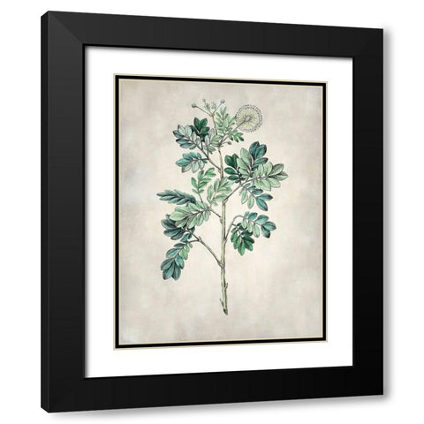 Acacia Tree I Black Modern Wood Framed Art Print with Double Matting by Vision Studio