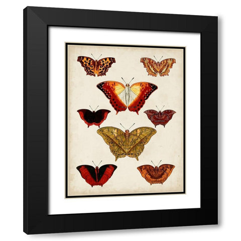 Butterflies Displayed I Black Modern Wood Framed Art Print with Double Matting by Vision Studio