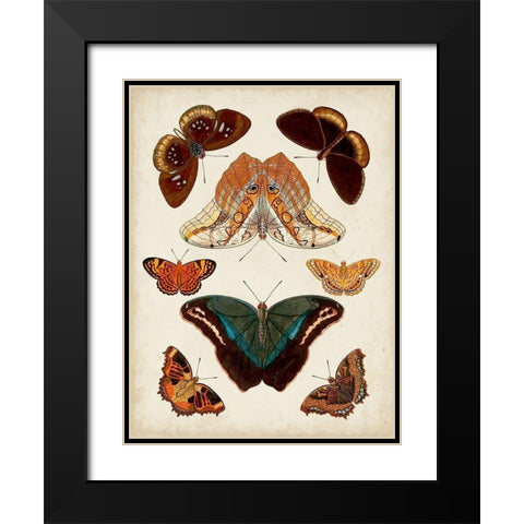 Butterflies Displayed II Black Modern Wood Framed Art Print with Double Matting by Vision Studio