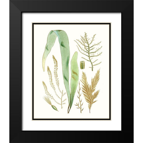 Antique Seaweed Composition II Black Modern Wood Framed Art Print with Double Matting by Vision Studio