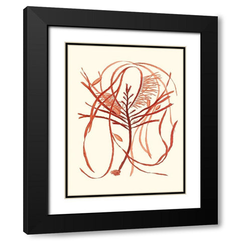 Coral Seaweed I Black Modern Wood Framed Art Print with Double Matting by Vision Studio