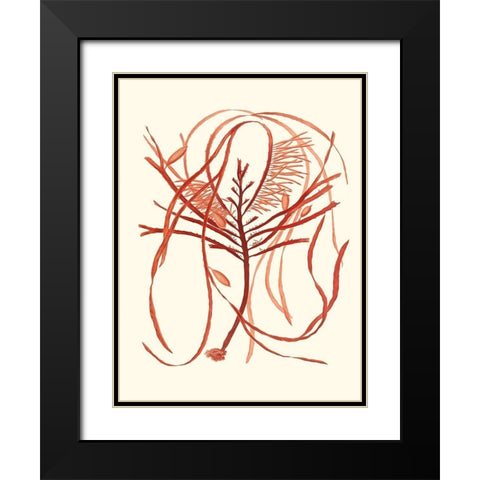Coral Seaweed I Black Modern Wood Framed Art Print with Double Matting by Vision Studio