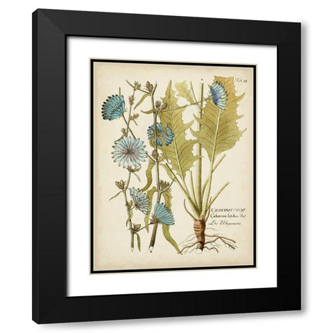 Eloquent Botanical I Black Modern Wood Framed Art Print with Double Matting by Vision Studio