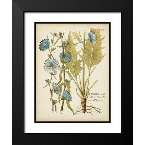 Eloquent Botanical I Black Modern Wood Framed Art Print with Double Matting by Vision Studio