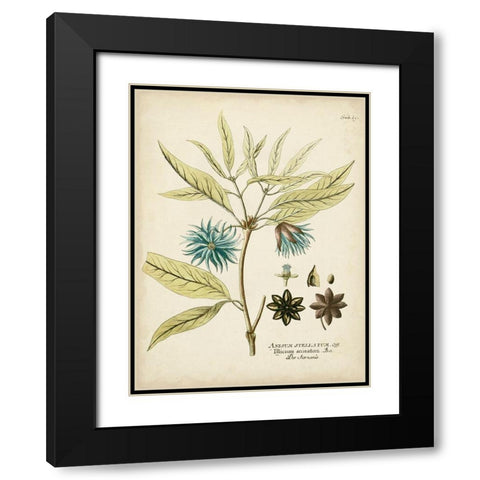 Eloquent Botanical III Black Modern Wood Framed Art Print with Double Matting by Vision Studio
