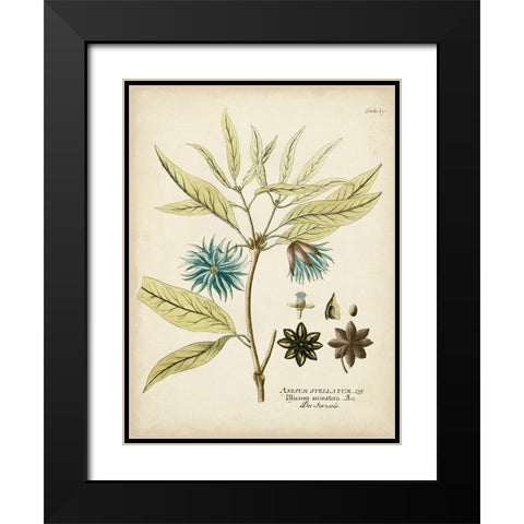 Eloquent Botanical III Black Modern Wood Framed Art Print with Double Matting by Vision Studio