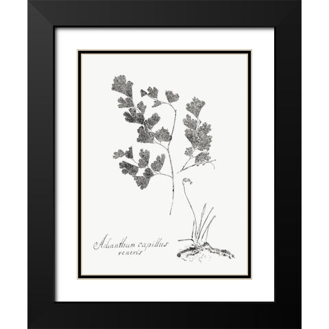 Botanical Imprint I Black Modern Wood Framed Art Print with Double Matting by Vision Studio