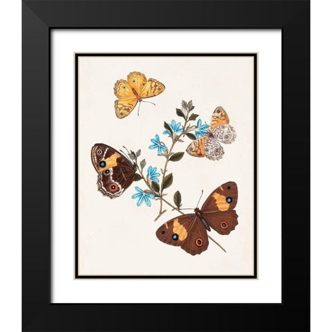 Butterflies and Moths I Black Modern Wood Framed Art Print with Double Matting by Unknown