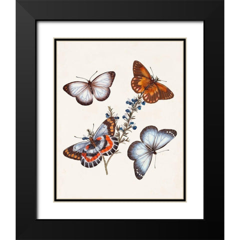 Butterflies and Moths III Black Modern Wood Framed Art Print with Double Matting by Unknown