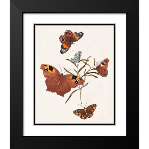 Butterflies and Moths VI Black Modern Wood Framed Art Print with Double Matting by Unknown