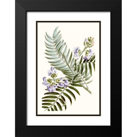 Graceful Botanical IV Black Modern Wood Framed Art Print with Double Matting by Vision Studio