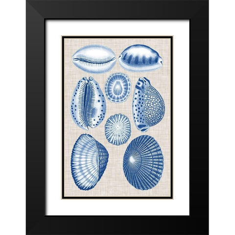 Navy and Linen Shells I Black Modern Wood Framed Art Print with Double Matting by Vision Studio