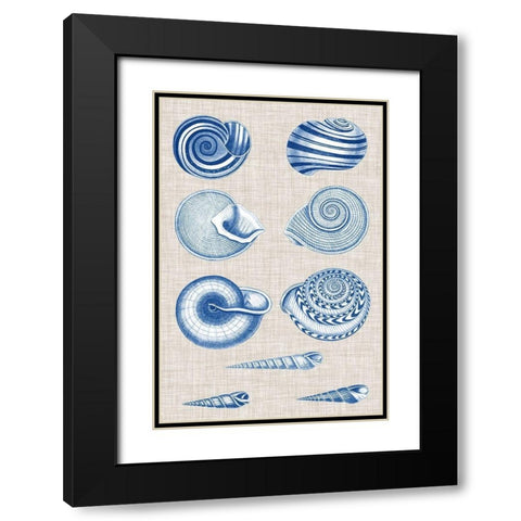 Navy and Linen Shells V Black Modern Wood Framed Art Print with Double Matting by Vision Studio