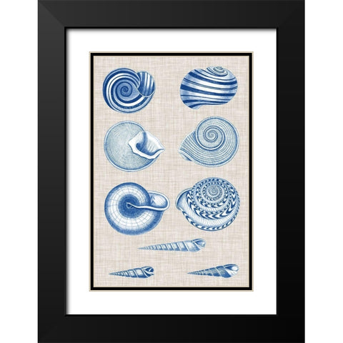 Navy and Linen Shells V Black Modern Wood Framed Art Print with Double Matting by Vision Studio