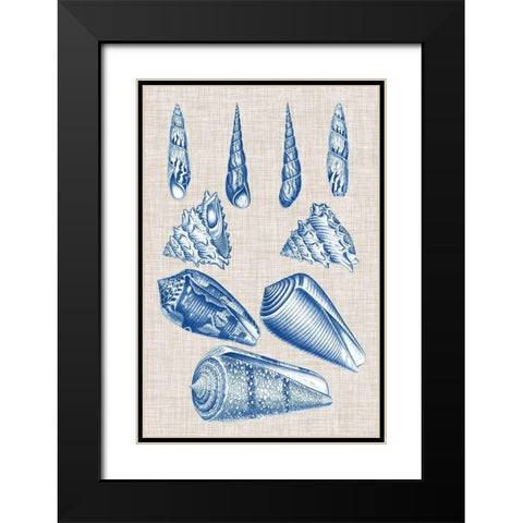 Navy and Linen Shells VI Black Modern Wood Framed Art Print with Double Matting by Vision Studio
