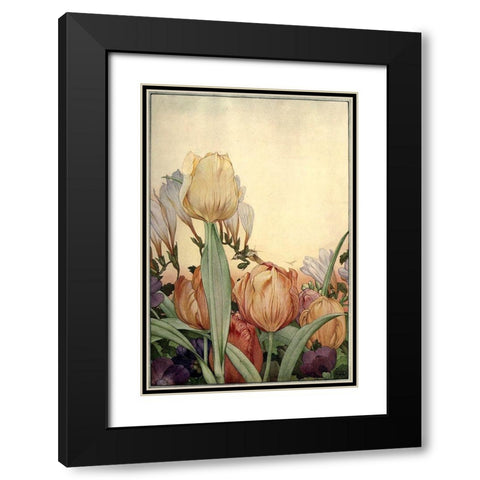 Garden Fantasy I Black Modern Wood Framed Art Print with Double Matting by Unknown