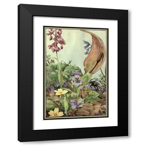 Garden Fantasy II Black Modern Wood Framed Art Print with Double Matting by Unknown