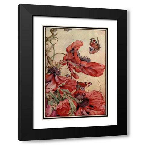 Garden Fantasy III Black Modern Wood Framed Art Print with Double Matting by Unknown