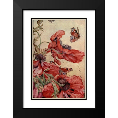 Garden Fantasy III Black Modern Wood Framed Art Print with Double Matting by Unknown
