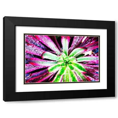 Bright Exotic I Black Modern Wood Framed Art Print with Double Matting by Orlov, Irena