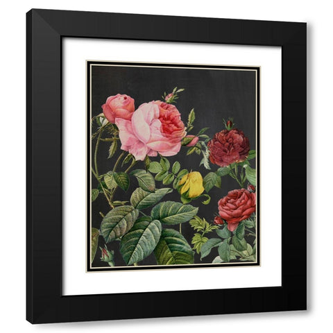 Redoutes Bouquet I Black Modern Wood Framed Art Print with Double Matting by Redoute, Pierre
