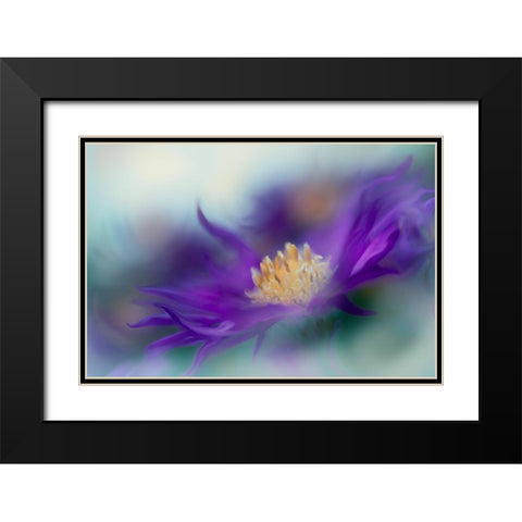 Gold and Purple in the Mist I Black Modern Wood Framed Art Print with Double Matting by Hunt, Gillian