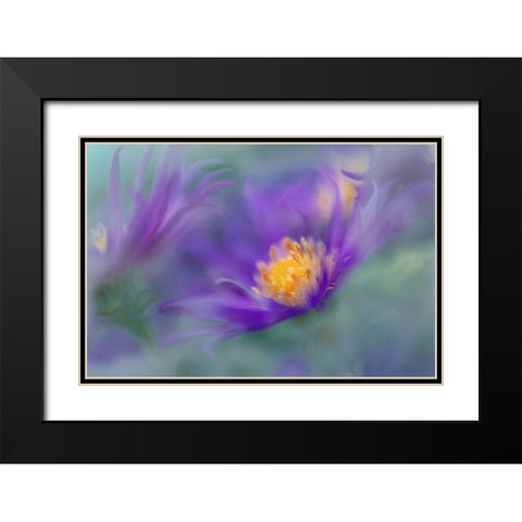 Gold and Purple in the Mist II Black Modern Wood Framed Art Print with Double Matting by Hunt, Gillian