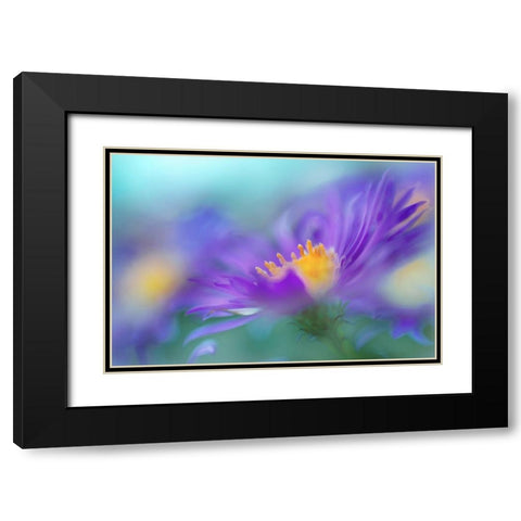 Gold and Purple in the Mist IV Black Modern Wood Framed Art Print with Double Matting by Hunt, Gillian