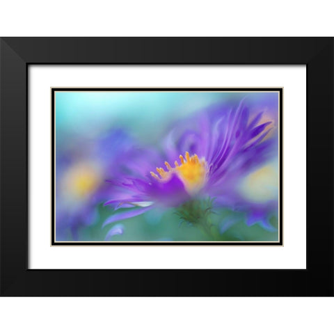 Gold and Purple in the Mist IV Black Modern Wood Framed Art Print with Double Matting by Hunt, Gillian